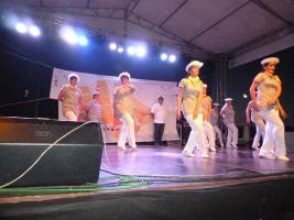 Falunap 2015