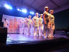 Falunap 2015