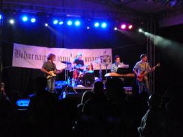 Falunap 2015