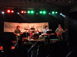 Falunap 2015