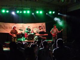 Falunap 2015