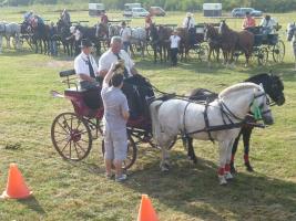 Lovasnap 2015