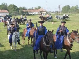 Lovasnap 2015