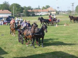 Lovasnap 2015