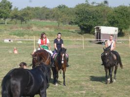 Lovasnap 2015
