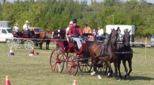 Lovasnap 2015