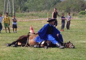 Lovasnap 2015