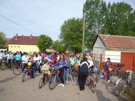 Majális 2015