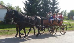 Szüreti felvonulás 2015