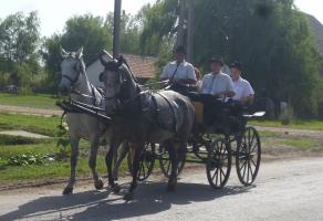 Szüreti felvonulás 2015