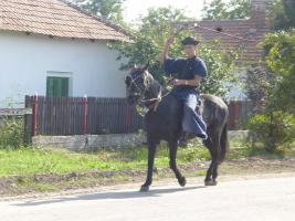 Szüreti felvonulás 2015