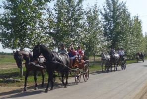 Szüreti felvonulás 2015