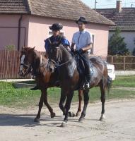 Szüreti felvonulás 2015