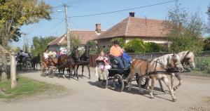Szüreti felvonulás 2015