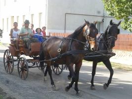 Szüreti felvonulás 2015