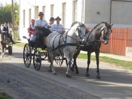 Szüreti felvonulás 2015