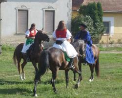 Szüreti felvonulás 2015