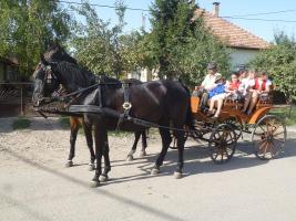 Szüreti felvonulás 2015