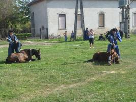Szüreti felvonulás 2015