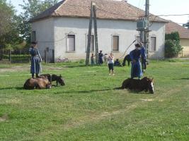 Szüreti felvonulás 2015