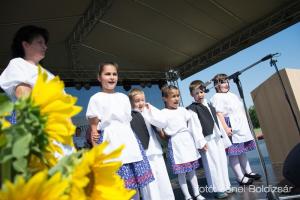 Biharnagybajom Napja - 2017. július 8.