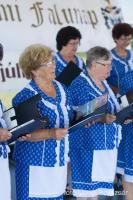 Biharnagybajom Napja - 2017. július 8.