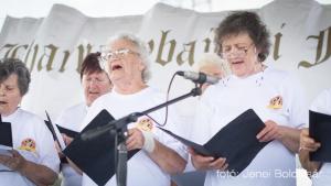 Biharnagybajom Napja - 2017. július 8.