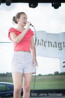 Biharnagybajom Napja - 2017. július 8.