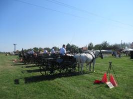 Lovasnap - 2017. augusztus 19.