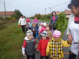 Szüret az óvodában - 2017. szeptember 29.