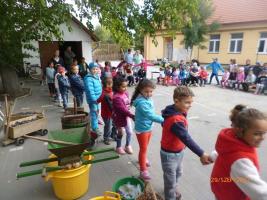 Szüret az óvodában - 2017. szeptember 29.