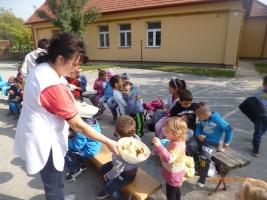 Szüret az óvodában - 2017. szeptember 29.