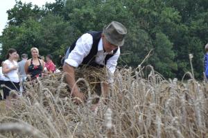 Aratónap - foto: Tóth Ferenc 2018