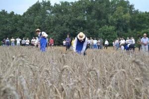 Aratónap - foto: Tóth Ferenc 2018