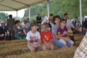 Aratónap - foto: Tóth Ferenc 2018