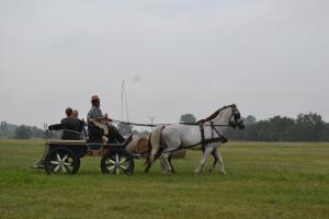 Aratónap - foto: Tóth Ferenc 2018