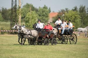 XV. Biharnagybajomi Lovasnap - 2018. július 15. (foto: Jenei Boldizsár)