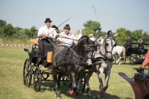 XV. Biharnagybajomi Lovasnap - 2018. július 15. (foto: Jenei Boldizsár)