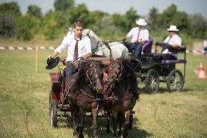 XV. Biharnagybajomi Lovasnap - 2018. július 15. (foto: Jenei Boldizsár)