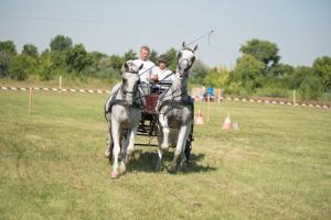 XV. Biharnagybajomi Lovasnap - 2018. július 15. (foto: Jenei Boldizsár)