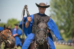 XV. Biharnagybajomi Lovasnap - 2018. július 15. (foto: Jenei Boldizsár)