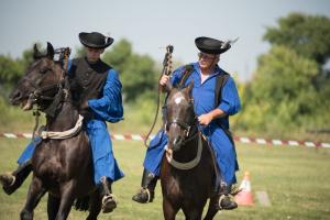 XV. Biharnagybajomi Lovasnap - 2018. július 15. (foto: Jenei Boldizsár)
