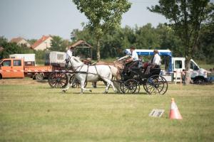 XV. Biharnagybajomi Lovasnap - 2018. július 15. (foto: Jenei Boldizsár)
