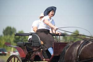 XV. Biharnagybajomi Lovasnap - 2018. július 15. (foto: Jenei Boldizsár)