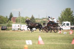 XV. Biharnagybajomi Lovasnap - 2018. július 15. (foto: Jenei Boldizsár)