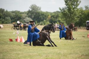 XV. Biharnagybajomi Lovasnap - 2018. július 15. (foto: Jenei Boldizsár)