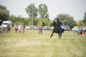 XV. Biharnagybajomi Lovasnap - 2018. július 15. (foto: Jenei Boldizsár)