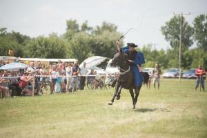 XV. Biharnagybajomi Lovasnap - 2018. július 15. (foto: Jenei Boldizsár)