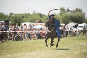 XV. Biharnagybajomi Lovasnap - 2018. július 15. (foto: Jenei Boldizsár)