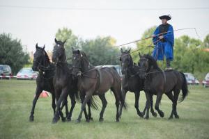 XV. Biharnagybajomi Lovasnap - 2018. július 15. (foto: Jenei Boldizsár)